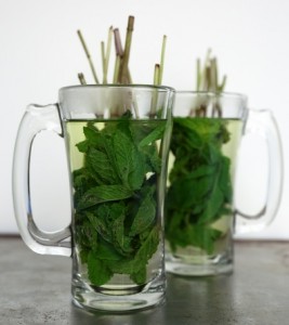Liever groene thee dan verse muntthee - Gezonde voeding, tips en recepten een mooie huid, nagels en tanden